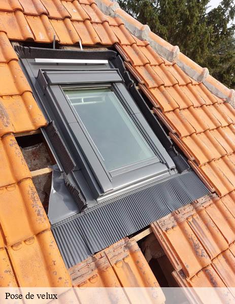 renovation-03